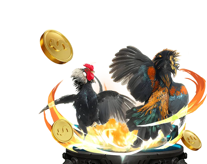 Hướng dẫn tham gia đá gà trực tuyến win999 game